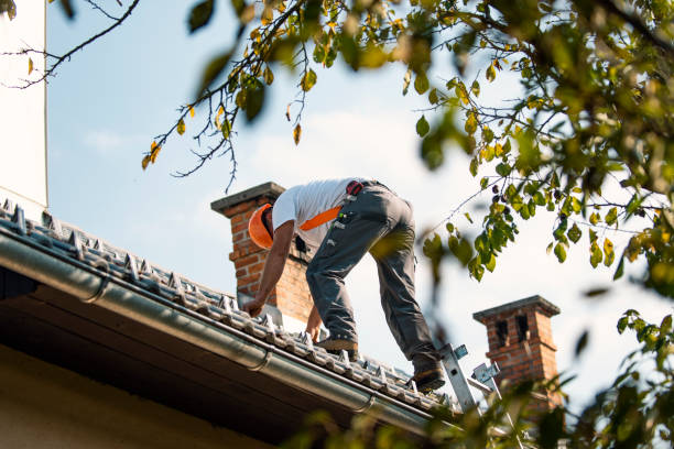 Roof Gutter Cleaning in Albemarle, NC